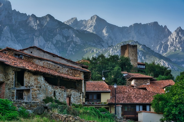 codifyformatter (11)