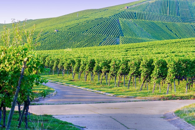 codifyformatter (15)